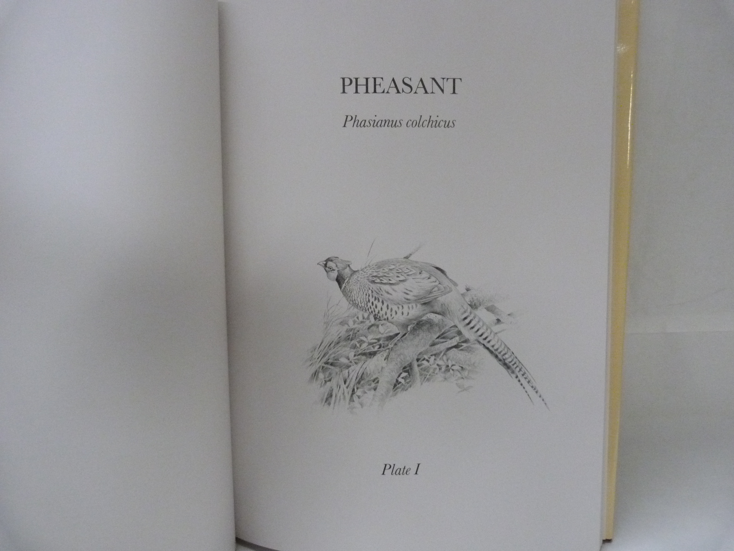 PLEDGER MAURICE (Illus).  Game Birds. 2 vols. Good col. plates & other illus. Folio. Orig. red cloth - Image 3 of 4