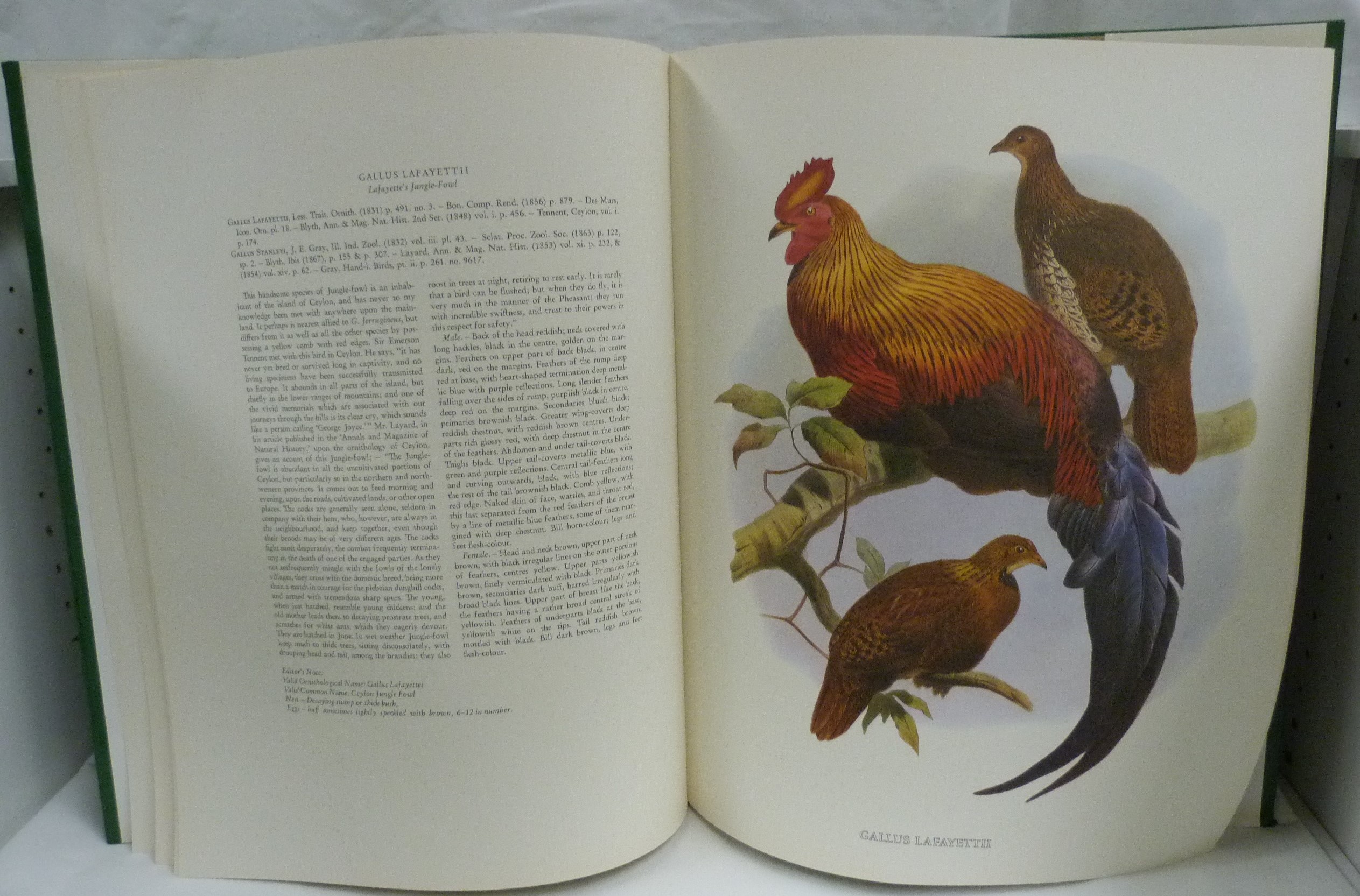 ARIEL PRESS.  The Birds of Daniel Giraud Elliot. Ltd. ed. 1,000. Good col. plates. Folio. Orig. - Image 3 of 3