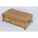 19th Century burr wood box of rectangular form, with brass ring handles and four paw feet, the