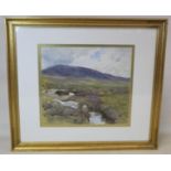 LATE 19TH/EARLY 20TH CENTURY BRITISH SCHOOL.A moorland stream.Watercolour.24cm x 26.5cm.