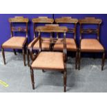 Set of five Regency style dining chairs, including one carver chair, and another similar carver