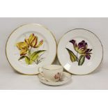 Two early 19th century Derby porcelain plates decorated with tulips, "Yellow Bowers", 25cm diam. and