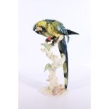 Large Rosenthal porcelain figure of a parrot, modelled perched on a branch with fruiting grape