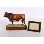 Royal Worcester porcelain model of a Dairy Shorthorn Bull modelled by Doris Lindner on wooden plinth