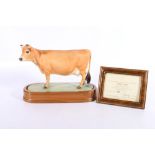 Royal Worcester porcelain model of a Jersey Cow modelled by Doris Lindner on wooden plinth base with