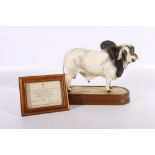 Royal Worcester porcelain model of a Brahman Bull modelled by Doris Lindner on wooden plinth base