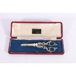 Pair of Edwardian Art Nouveau period silver grape scissors, the handles decorated with foxes and