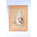 KOSON (1877-1945)Rooster and HenWoodblock print, signed and sealed, framed and glazed, 41cm x 26cm