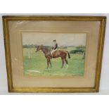 LATE VICTORIAN/EDWARDIAN SCHOOL.Portrait of a racehorse and jockey.Watercolour.28cm x 38.5cm.