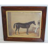 LATE 19TH/EARLY 20TH CENTURY ENGLISH SCHOOL."Pretender" - portrait of a racehorse in a stable.Oil on