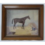 EARLY 20TH CENTURY ENGLISH SCHOOL."Lemonition" - portrait of a racehorse in a stable.Oil on canvas.