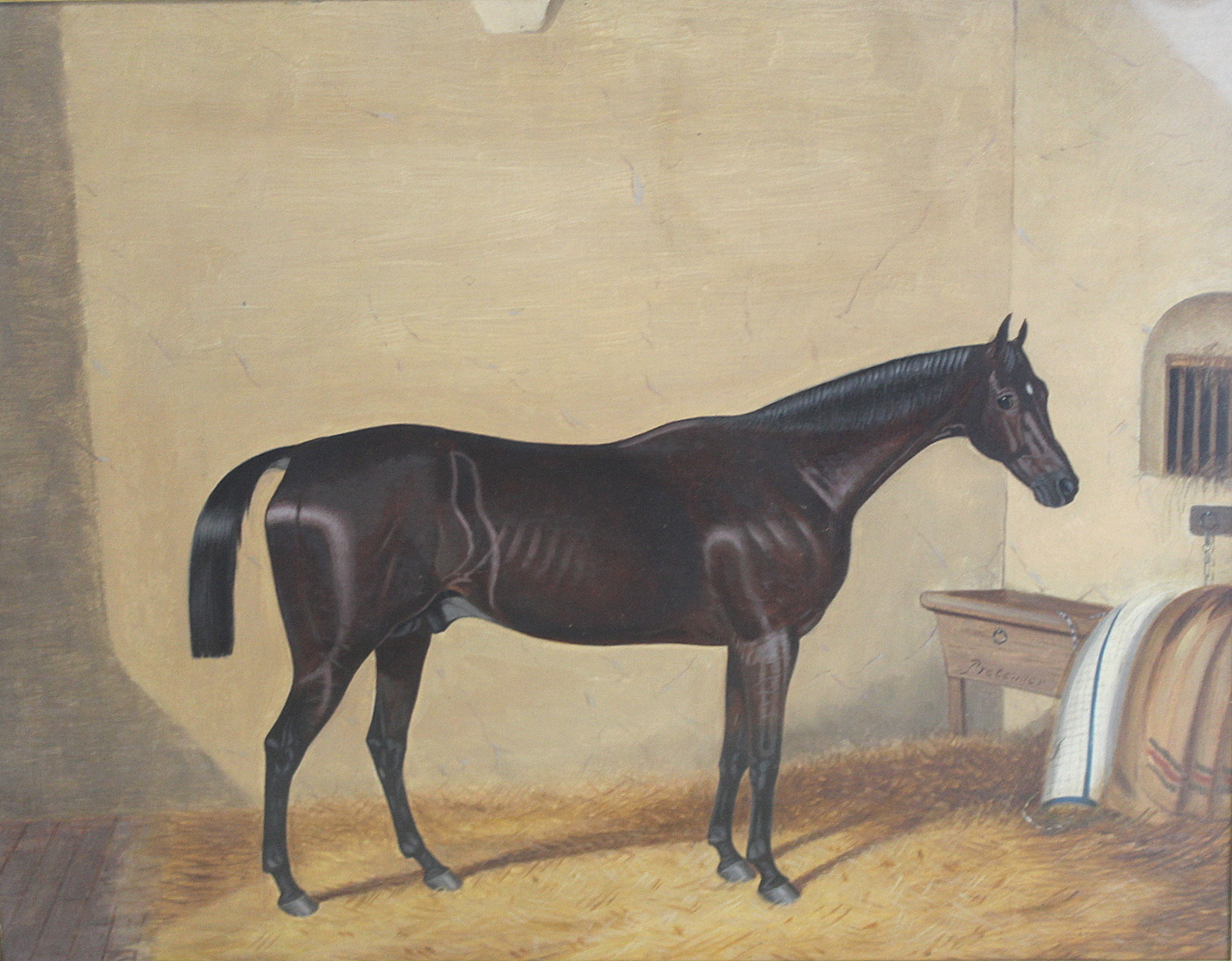 LATE 19TH/EARLY 20TH CENTURY ENGLISH SCHOOL."Pretender" - portrait of a racehorse in a stable.Oil on - Image 2 of 5