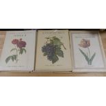 AERIEL PRESS.  Flower Portraits; A Folio of Fruit; Redouté Fruits & Flowers & 3 various Redouté