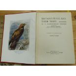 THOMSON A. L.  Britain's Birds & Their Nests. Col. plates by George Rankin. Small quarto. Orig.