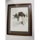 20th century colour lithograph of a Pointer retrieving partridge. 52cm x 39cm, indistinctly signed