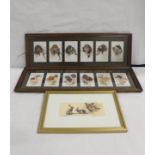 Twelve colour prints of gun dogs after originals by Arthur Wardle, each 14cm x 18,5cm framed as two;