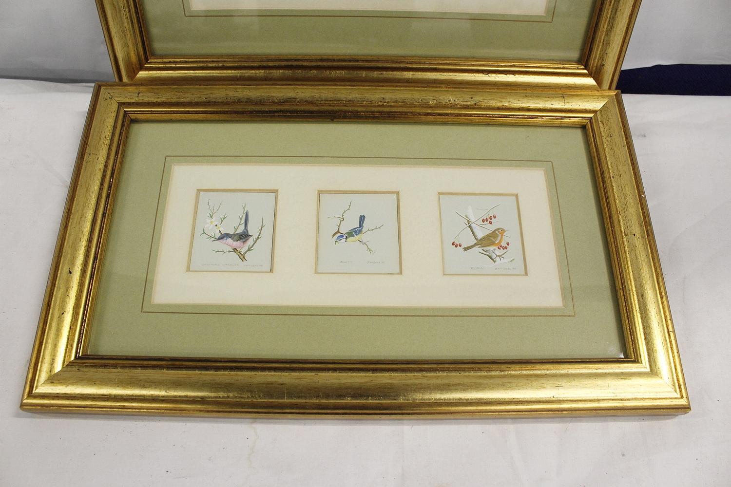 J McGrae.Six miniature studies of British Birds.Signed and dated circa (19)77/78, gouache, each 5. - Image 2 of 2