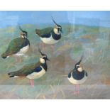 Ralston Gudgeon RSW (Scottish, 1910 - 1984) Lapwings