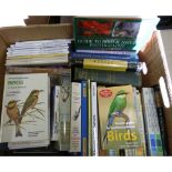 Ornithology.  A large carton of various vols.