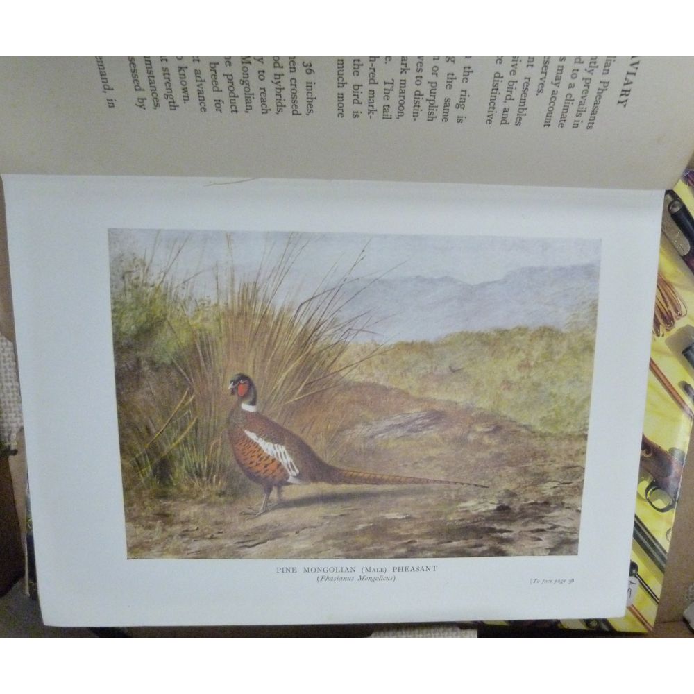 BARTON F. T.  Pheasants In Covert & Aviary. Col. & other illus. Quarto. Orig. cloth, some wear. - Image 2 of 2