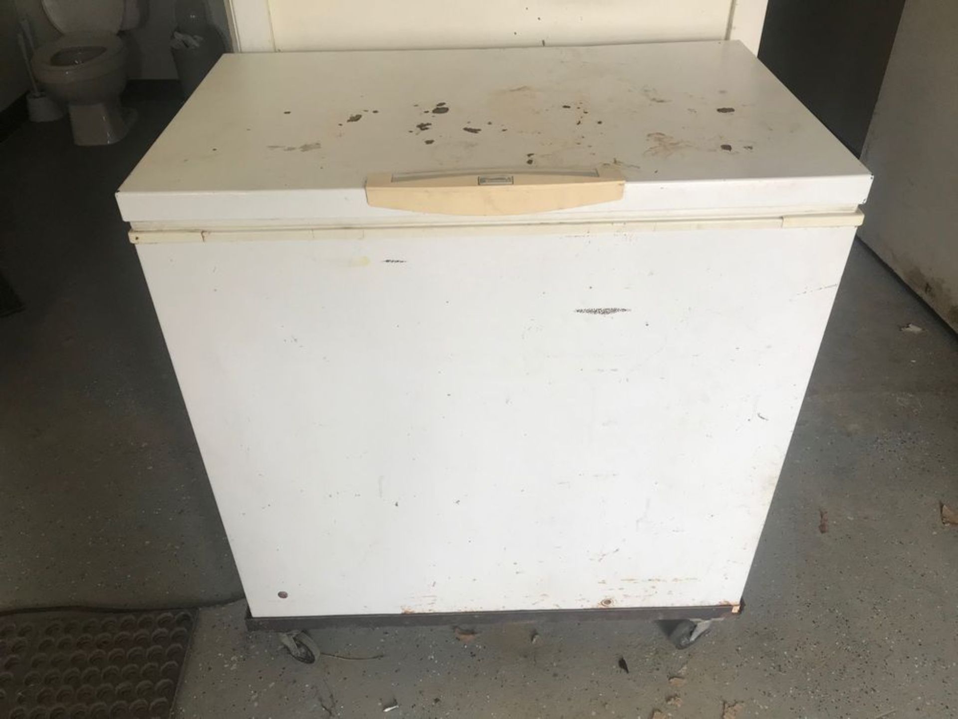 Kenmore Heavy Duty Commercial Freezer