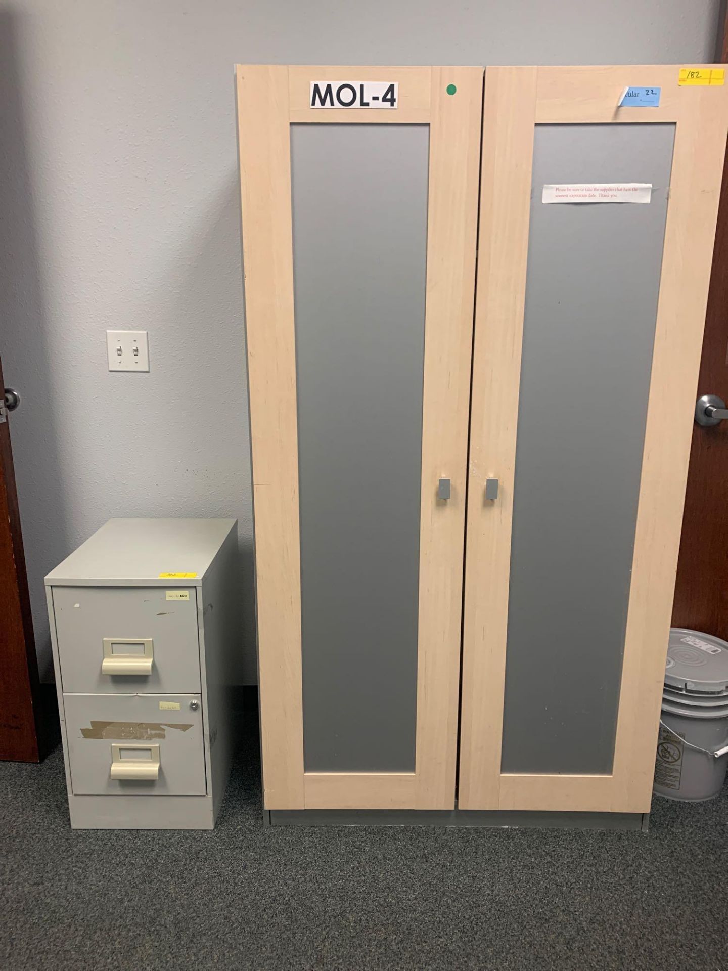 2 Door Storage Cabinet and 2 Drawer File Cabinet