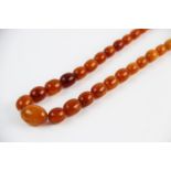 A 'Butterscotch' amber single strand bead necklace, the sixty-nine graduated beads (largest