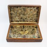 ENTOMOLOGY INTEREST: An extensive collection of entomological specimens, late 19th century,