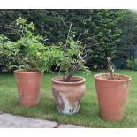 A pair of terracotta jardinieres/planters, each of tapered cylindrical form, embossed with