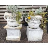 A near pair of white painted, two handled urns, each with tulip moulded base section, below a