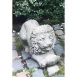 A pair of reconstituted stone recumbent lions, 50cm long