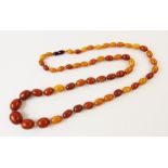 A butterscotch amber bead necklace, comprising fifty-five graduating polished amber beaded measuring