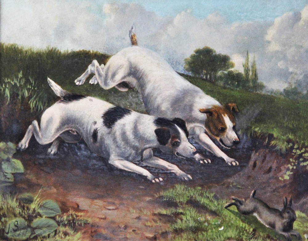 English school (19th century), Oil on board, Jack Russells chasing a rabbit, Initialled 'J.S.' lower