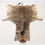 TAXIDERMY: A large Zebra skin, featuring mane and tail, 270cm x 190cm approx (at fault)