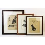 After Cecil Aldin (1870-1935), Three prints on paper, 'Chow & Spaniel', 'Irish Wolfhound' and '