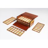 A collection of sixty six microscope slides, to include examples hand labelled 'Tongue', '