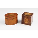 A George III satinwood tea caddy, of oval form, the hinged cover centred with an inlaid conch shell,