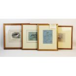 Eric Gorton (British school, 20th century), Three pencil and crayon bird studies on paper, 'Juvenile