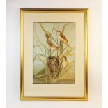 Continental School (20th century), Watercolour on paper, Reed warblers building a nest, Indistinctly
