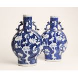 A pair of Chinese moon flasks, 19th century, of typical form with ruyi scepter lug handles to the