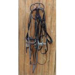 A large brown leather Pelham bridle with curb chain and guard, attached reins, a large black leather