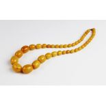 A butterscotch amber beaded necklace, comprising forty-one graduated polished amber beads, (
