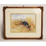 English school, Watercolour on paper, Grouse in a cornfield, Signed 'W.E. Powell' lower right,
