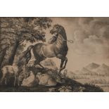 PITTORE EUROPA CENTRALE XIX SECOLO MATITA su carta "Paesaggio con cavallo e pecore". Misure: cm 36 x