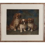 HM Krabbé, 1930. 1868 - 1931. Drei Pekinese-Hunde. Aquarell auf Papier. Abmessungen: H 28 x B 37 cm.