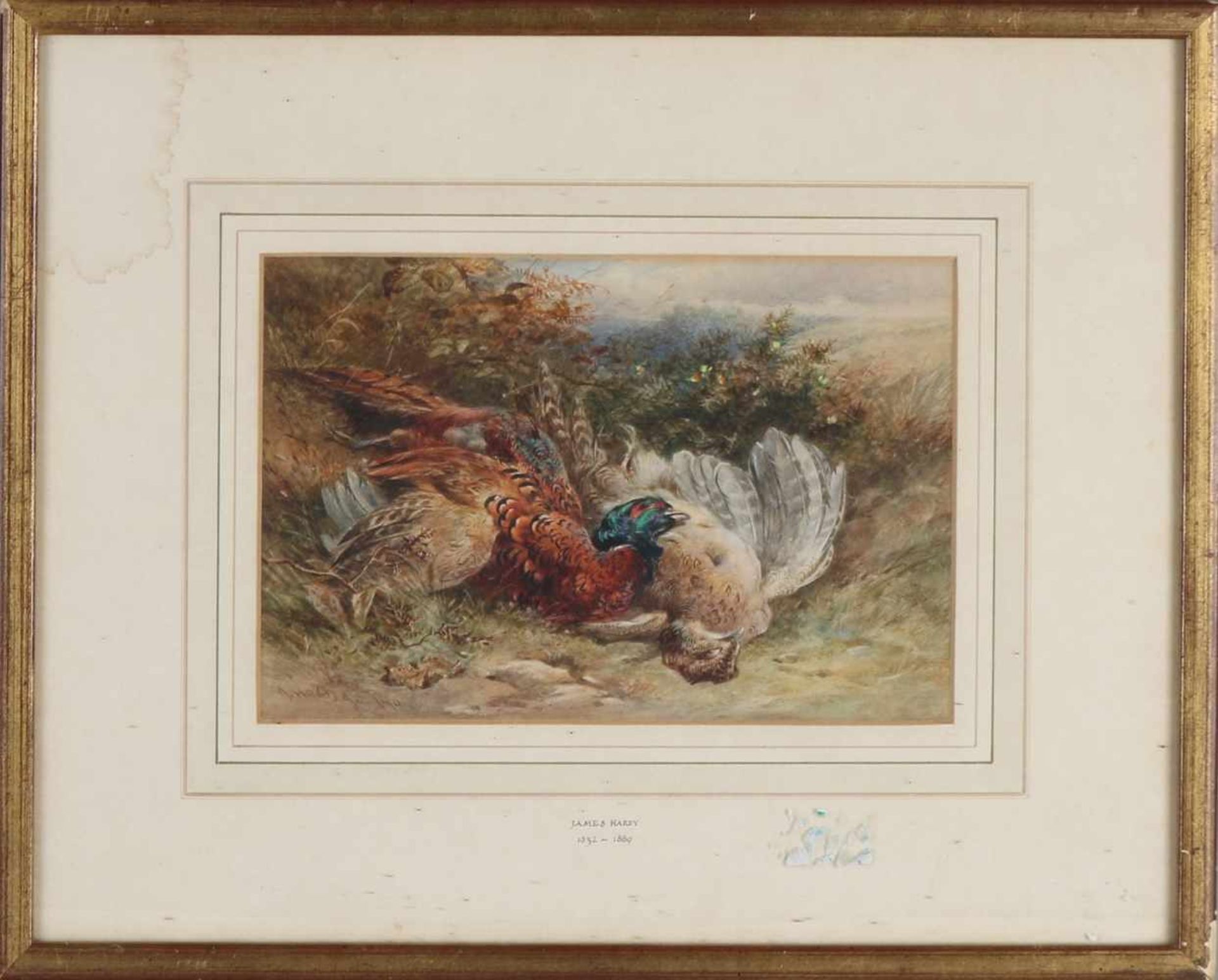 James Hardy. 1832 - 1889. Englische Schule. Wilde Szene, zwei Fasane. Aquarell auf Papier. - Bild 2 aus 2