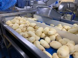 ON BEHALF OF A MAJOR FOOD PROCESSING COMPANY WE OFFER FOR SALE A COMPLETE POTATO WASHING PEELING & WEIGHING LINE- AUCTION CANCELLED