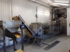 COMPLETE CARROT PEELING, WASHING AND PACKING SYSTEM
