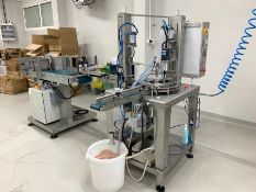 HAND SANITISER FILLING, CAPPING AND LABELLING SYSTEM