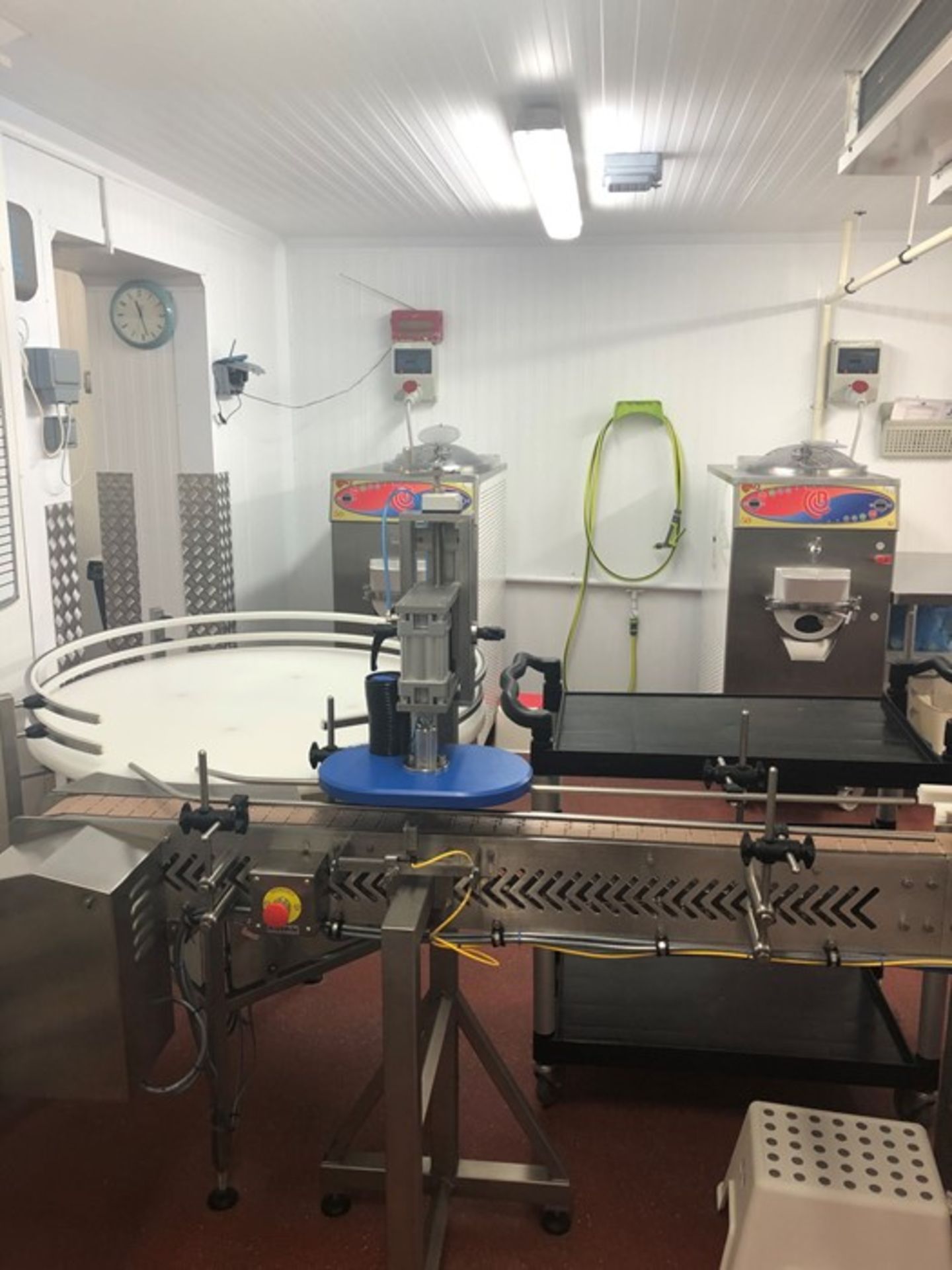 2019 RIGGS AUTOPACK FILLING LINE - Image 17 of 19